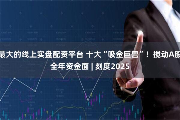 最大的线上实盘配资平台 十大“吸金巨兽”！搅动A股全年资金面 | 刻度2025